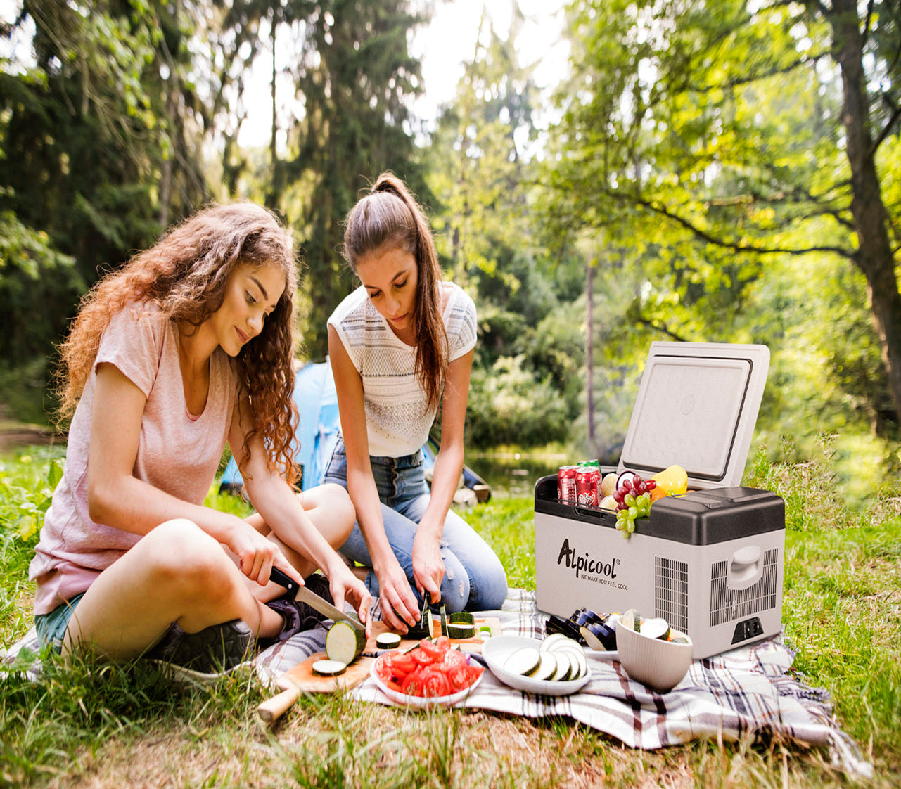 Troubleshooting Guide: Why is my Fridge Auto-Defrosting? – Alpicool