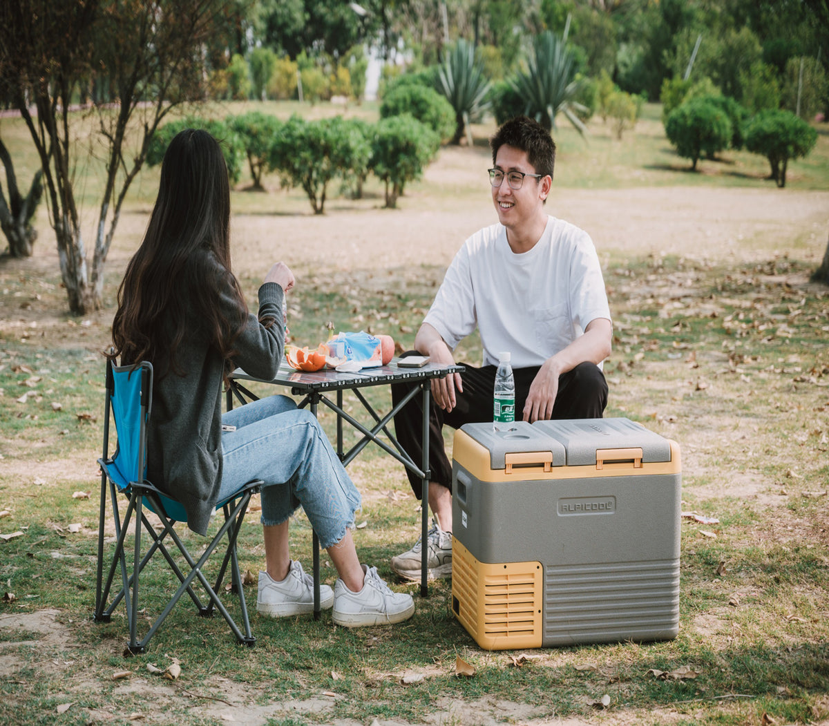 Alpicool Car Fridge Best Portable Car Refrigerator for Sale